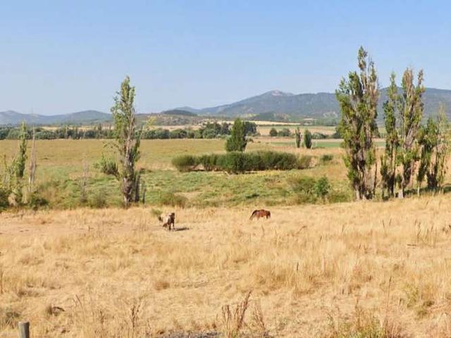 CAMPO, AGRÍCOLA EN VENTA, 49 HA, SAN JAVIER