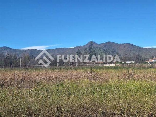 SITIO OLiveto, Lonquen Sur