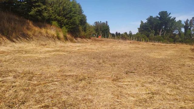 PARCELACIÓN COSTADO CAMINO LAS QUEMAS.