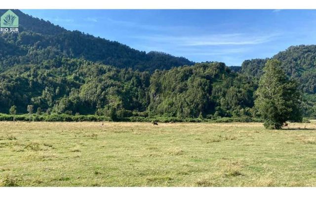 Parcelas 0,5ha Riñinahue Urbanizadas, Árboles, Rio, Vistas Y