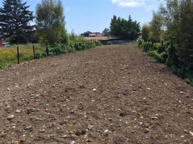 Terreno Con Excelente Ubicación - Austral Partners