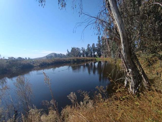 18 hectareas en venta , sector maria pinto