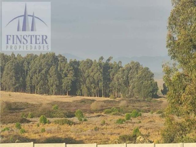 Precioso Terreno 760 m2 a pasos de playa Ritoque, Quintero