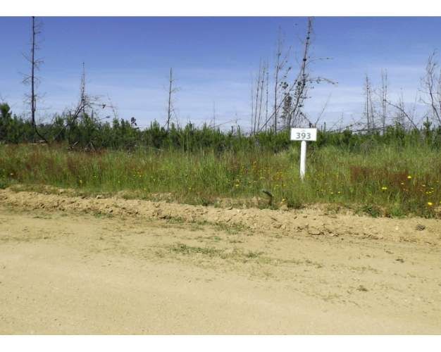 Hermosa Parcela En El Totoral, Litoral Centra - Natalia Bugu