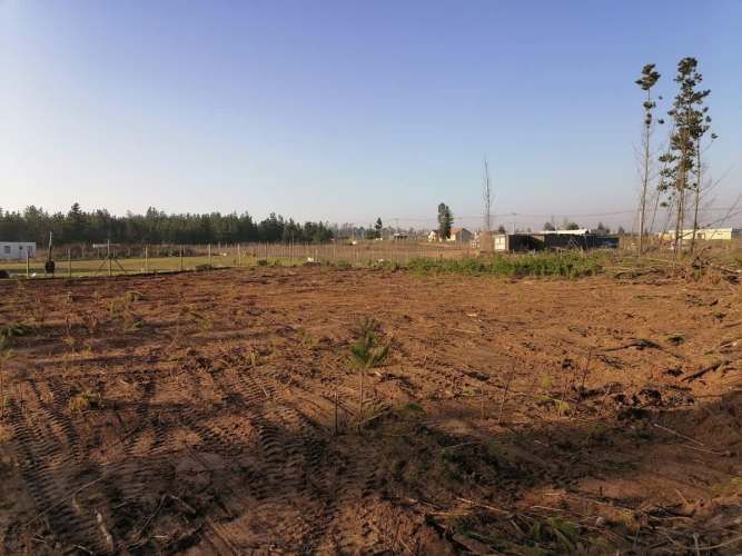 Hermosa Parcela En El Totoral, Litoral Centra - Natalia Bugu