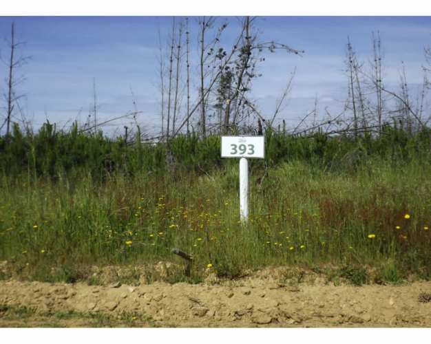 Hermosa Parcela En El Totoral, Litoral Centra - Natalia Bugu