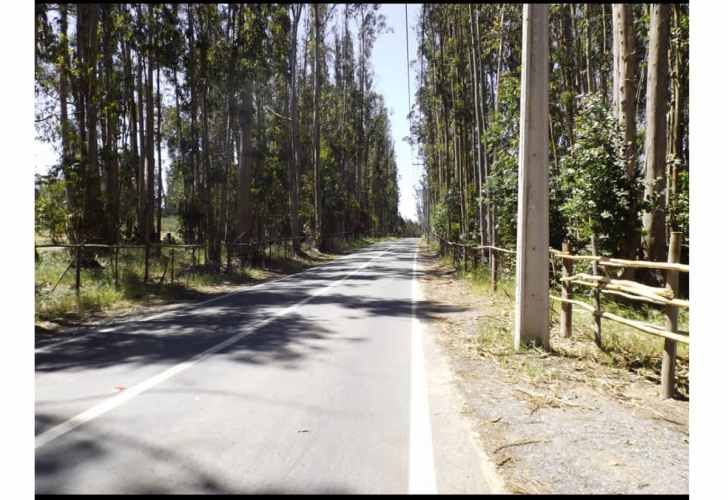 Hermosa Parcela En El Totoral, Litoral Centra - Natalia Bugu