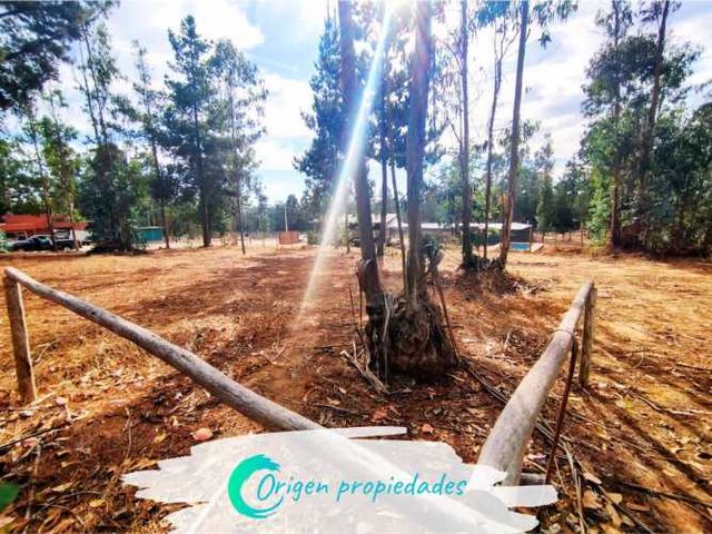 Lote Plano 1000m², Condominio Huallilemu El Quisco