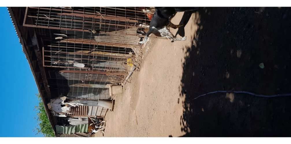 Santa Elena, Parcela 2, Lote A, Comuna De Buin - Las Casitas