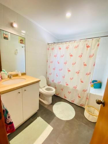 ARRIENDO CASA PARCELA MODERNA CERCANA A COLEGIOS TREWHELAS - SAN NICOLAS - PUCALAN