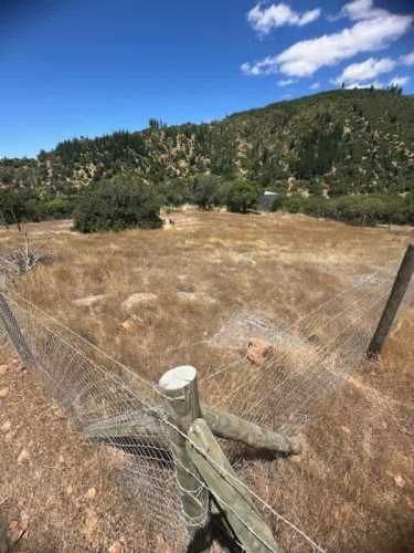 Parcela LOTEO SANTA CRUZ