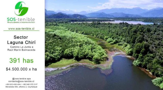 INVIERTE EN LAGUNA CHIRI  BOSQUE, RIO Y POTENCIAL TURÍSTICO