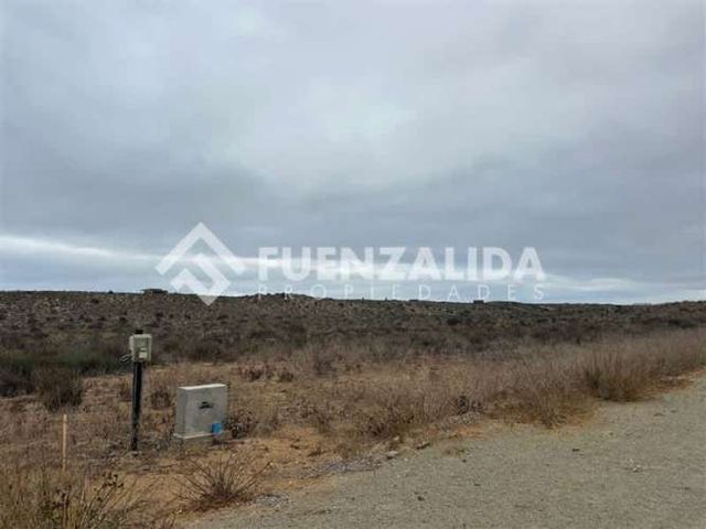 SITIO Morillos Norte