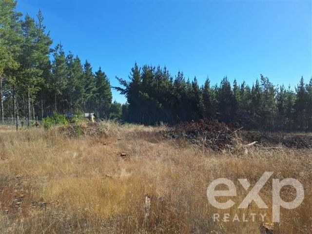 SITIO Sitio L178 5.000m2