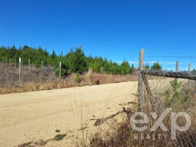 PARCELA Sitio L178 5.000m2