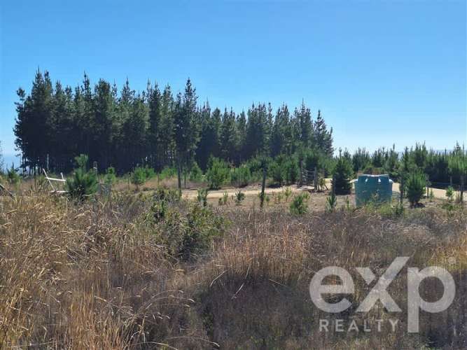 PARCELA Sitio L178 5.000m2