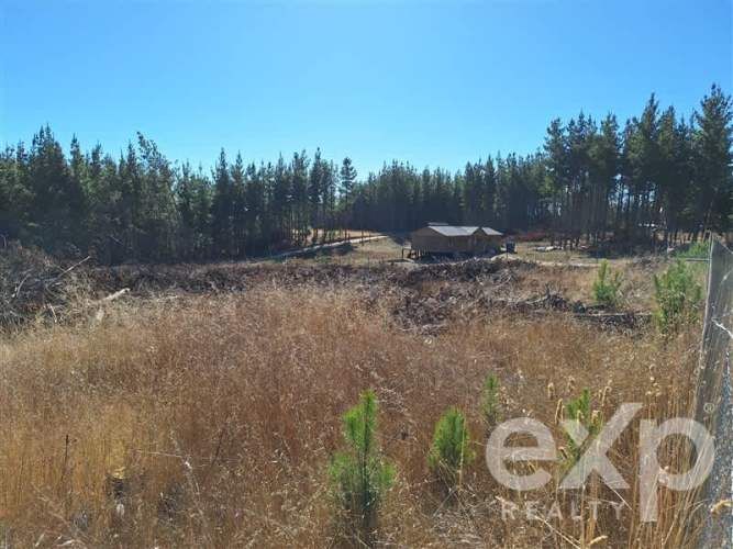 PARCELA Sitio L178 5.000m2