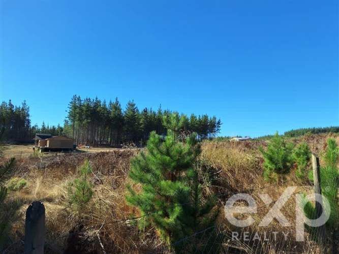 PARCELA Sitio L178 5.000m2