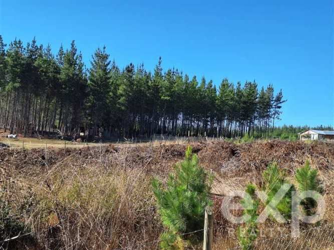 PARCELA Sitio L178 5.000m2