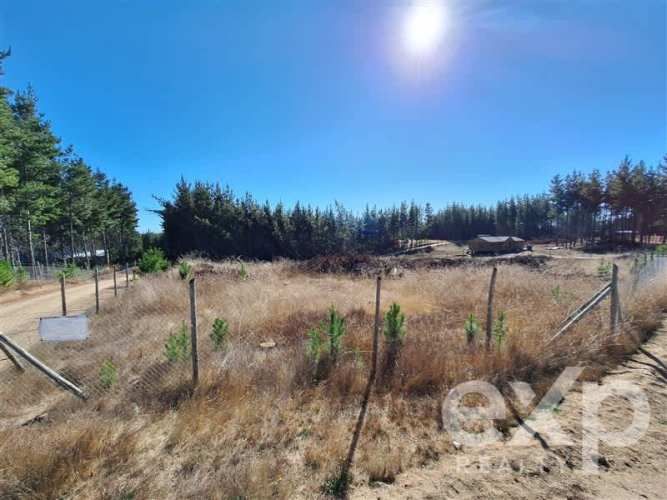 PARCELA Sitio L178 5.000m2