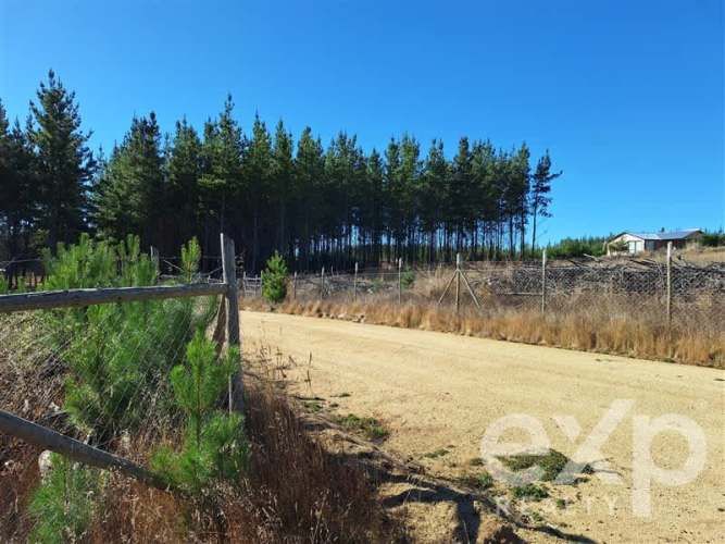 PARCELA Sitio L178 5.000m2