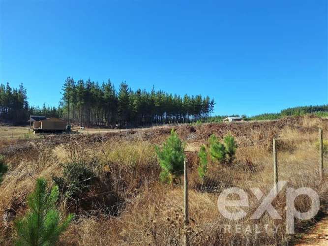 PARCELA Sitio L178 5.000m2