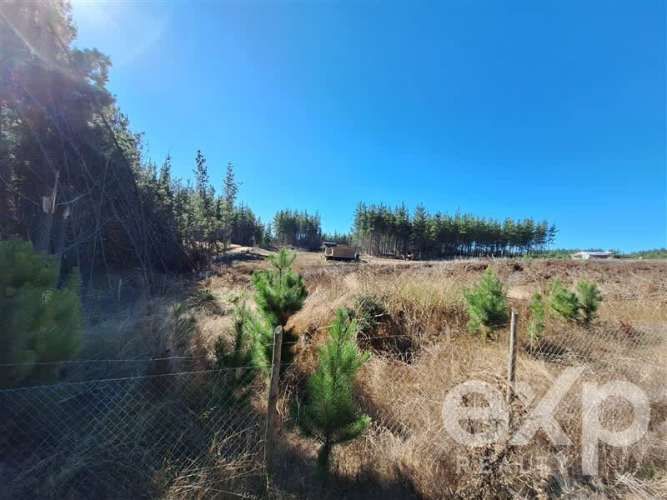 PARCELA Sitio L178 5.000m2