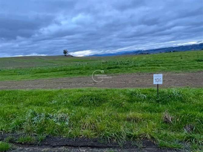 PARCELA Camino la Misión Quilacahuin