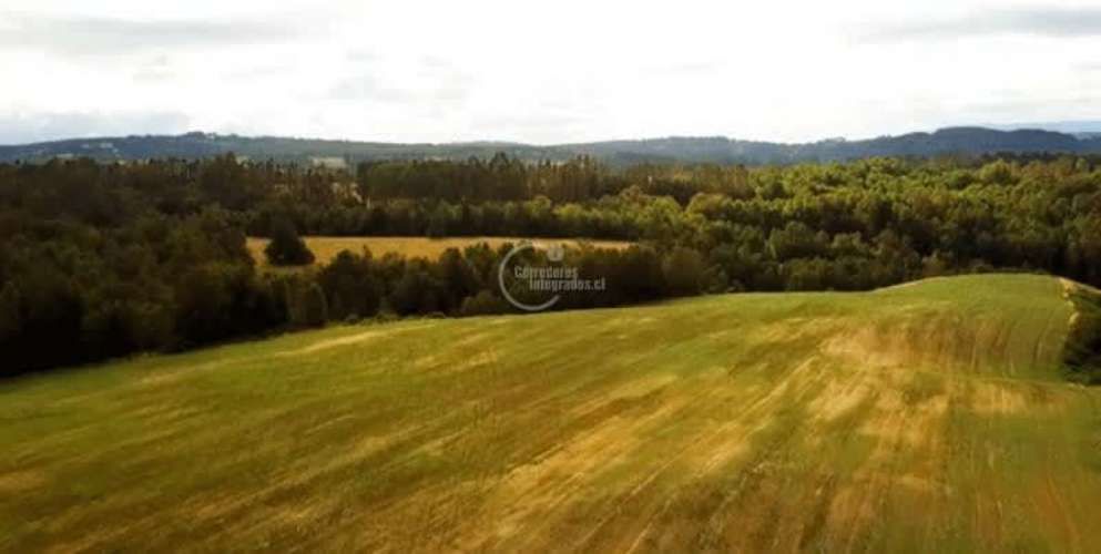 PARCELA Camino la Misión Quilacahuin