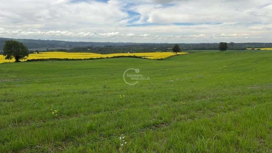 PARCELA Camino la Misión Quilacahuin