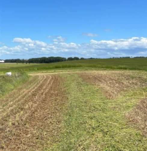 PARCELA Camino la Misión Quilacahuin