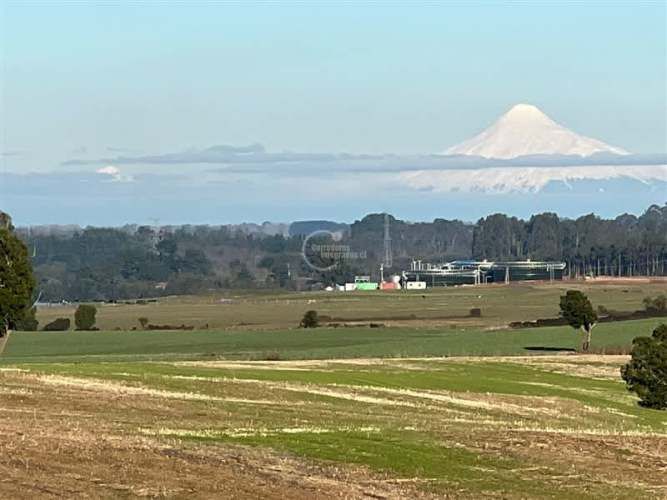 PARCELA Camino la Misión Quilacahuin