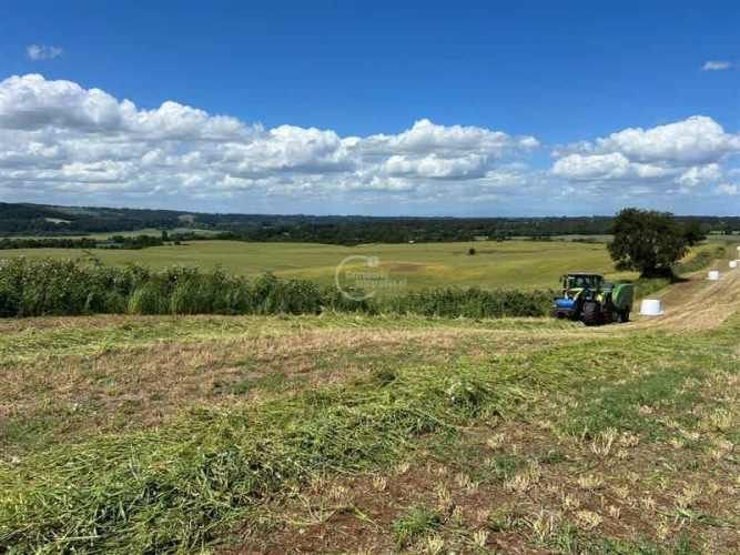 PARCELA Camino la Misión Quilacahuin