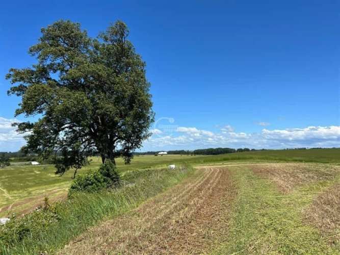 PARCELA Camino la Misión Quilacahuin