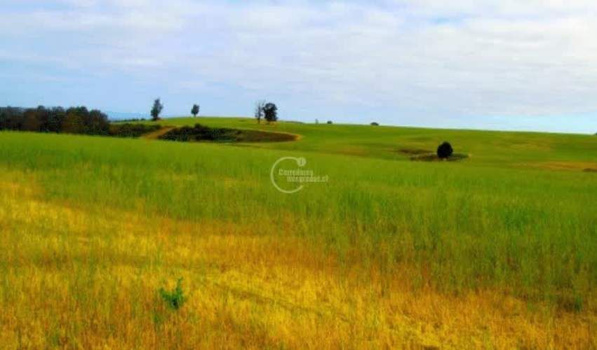 PARCELA Camino la Misión Quilacahuin