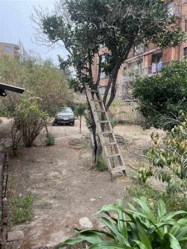 CASA Salvador Allende /San Ignacio