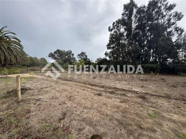 SITIO Huasos II Calle pavimentada