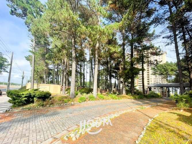 Departamento en Avenida Costanera