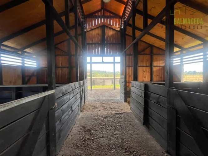 PARCELA Loncotoro, con Caballerizas