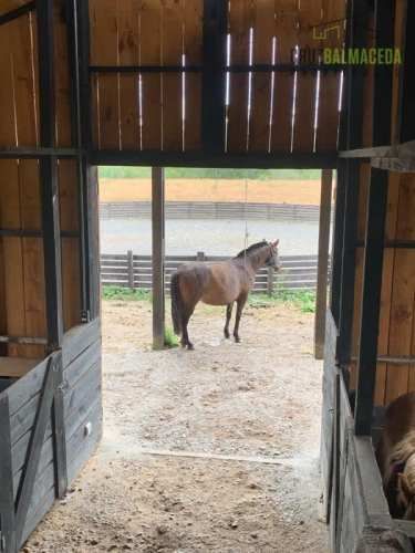 PARCELA Loncotoro, con Caballerizas