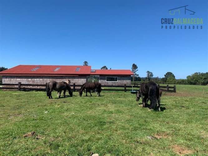 PARCELA Loncotoro, con Caballerizas
