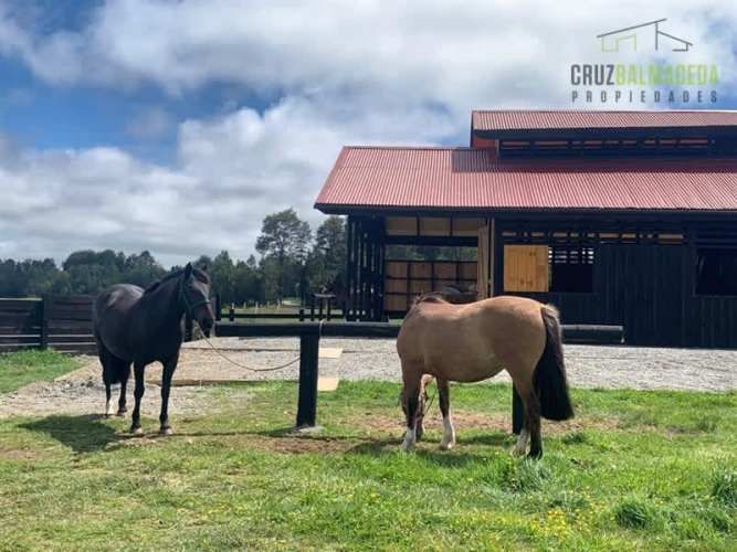 PARCELA Loncotoro, con Caballerizas
