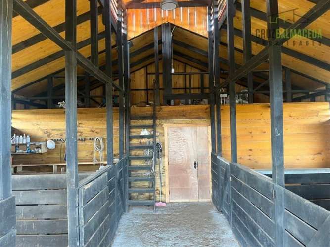 PARCELA Loncotoro, con Caballerizas