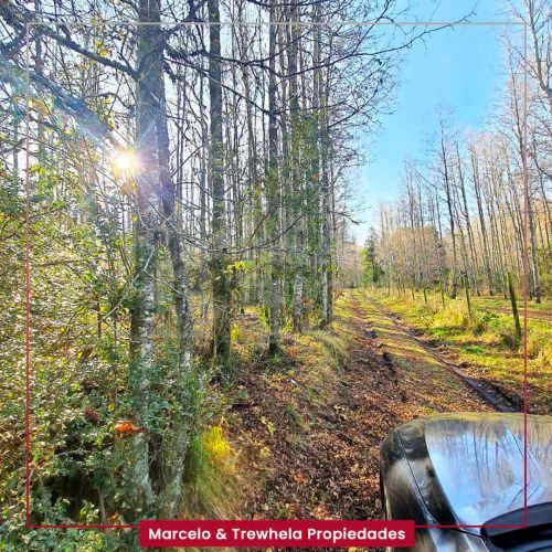 VENDO PARCELA 5000 M2, COMUNA DE PUCON. CODIGO #1006