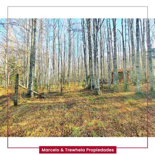 VENDO PARCELA 5000 M2, COMUNA DE PUCON. CODIGO #1006