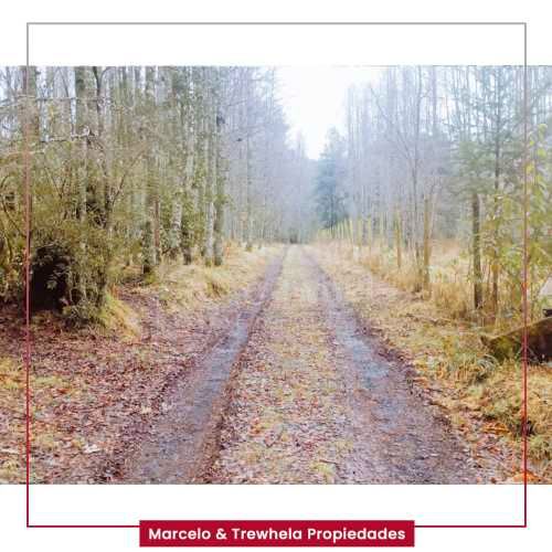 VENDO PARCELA 5000 M2, COMUNA DE PUCON. CODIGO #1006