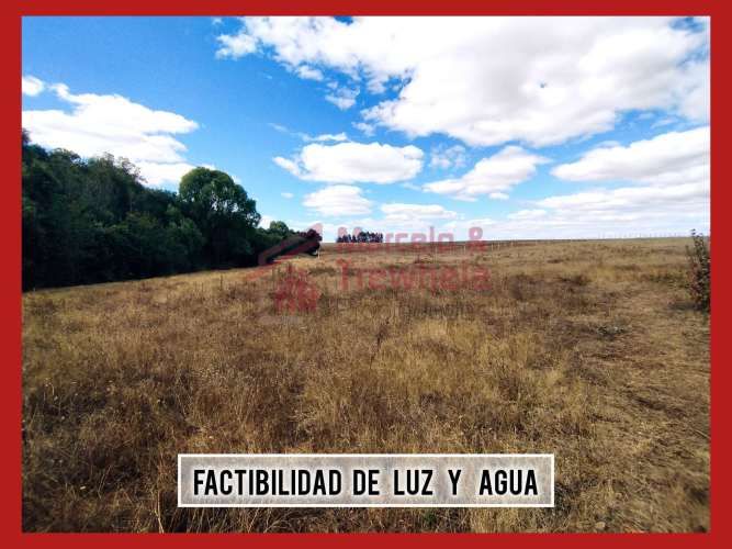 VENDO TERRENO 1.6 HECTAREAS, COMUNA DE NUEVA IMPERIAL. CODIGO #1009