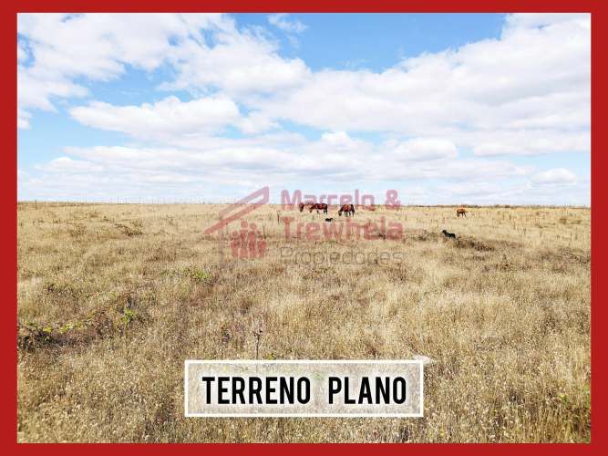 VENDO TERRENO 1.6 HECTAREAS, COMUNA DE NUEVA IMPERIAL. CODIGO #1009