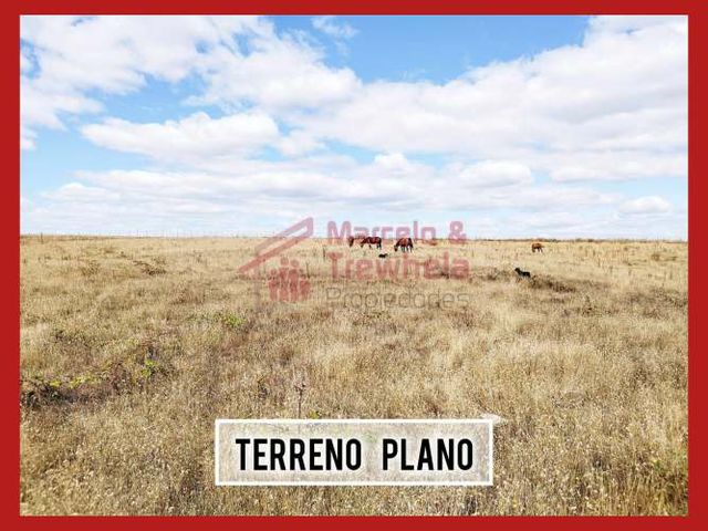 VENDO TERRENO 1.6 HECTAREAS, COMUNA DE NUEVA IMPERIAL. CODIGO #1009