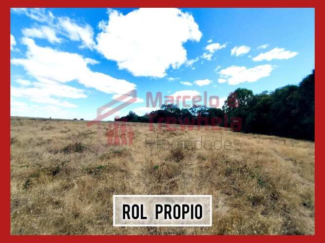 VENDO TERRENO 1.6 HECTAREAS, COMUNA DE NUEVA IMPERIAL. CODIGO #1009